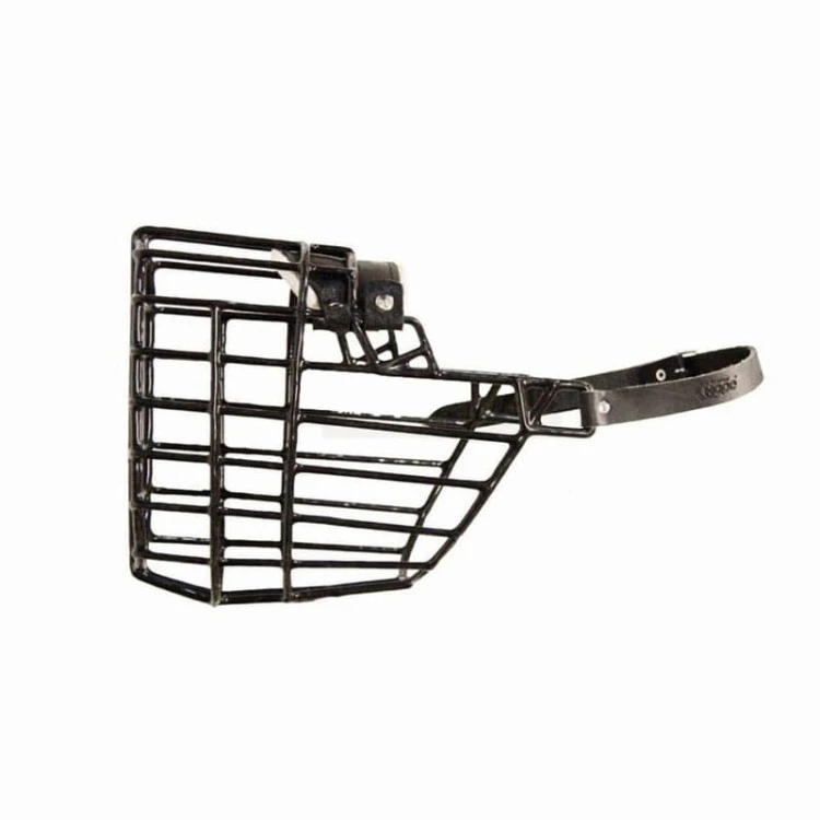 570ch - Nowofundland Bernardyn pies