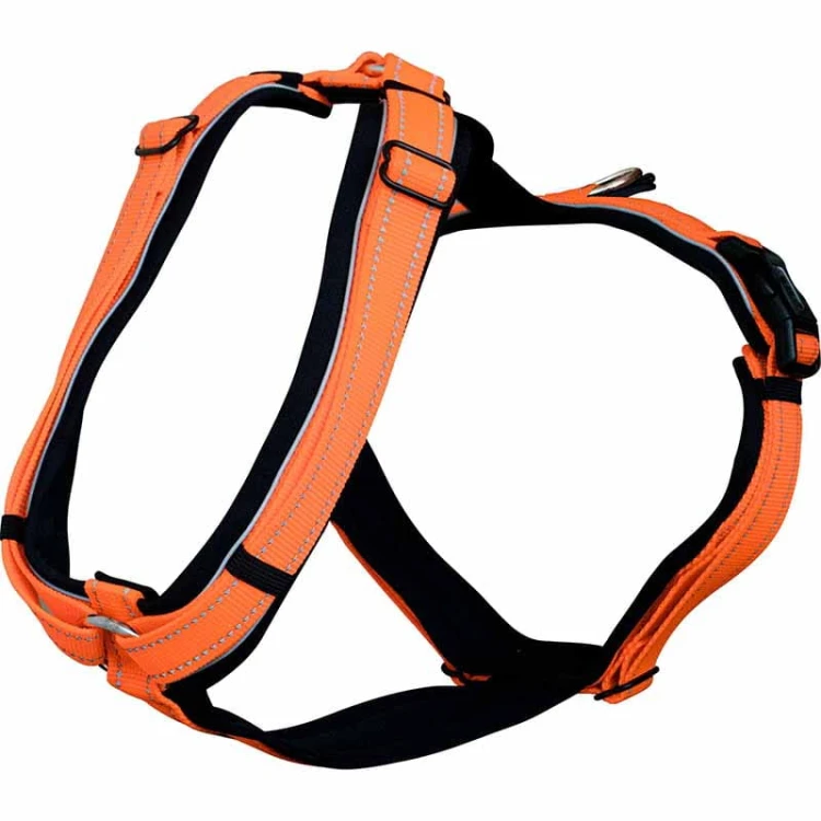 5954100077 - Szelki HS model Y - orange