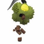 5819900200 - Zabawka dla psa "Durian" zielony ze smaczkami