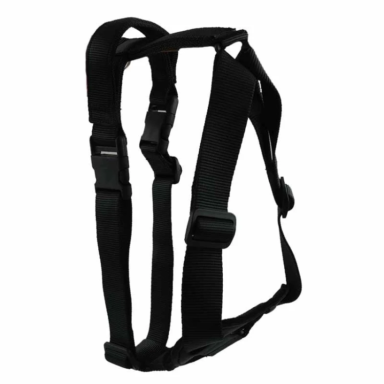 Sch607250A - Szelki do obrony - A