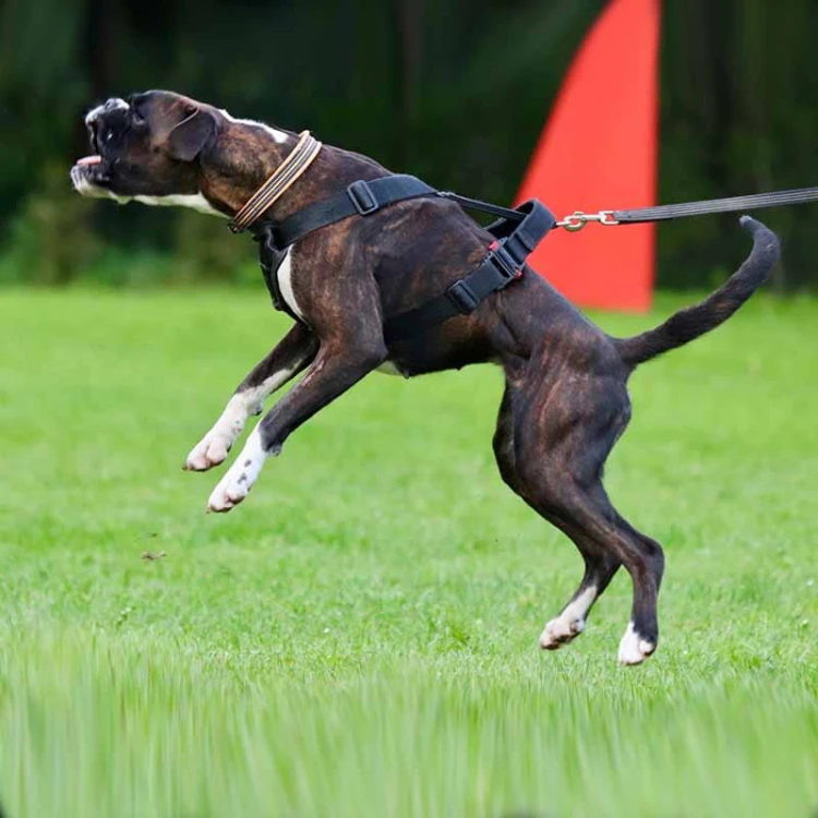 Sch607250C - Szelki do obrony -C z boku