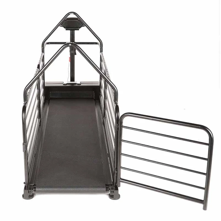 DR2 - Bieżnia Dog Runner Revolution Pro tył