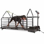 DR2 - Bieżnia Dog Runner Revolution Pro z boku