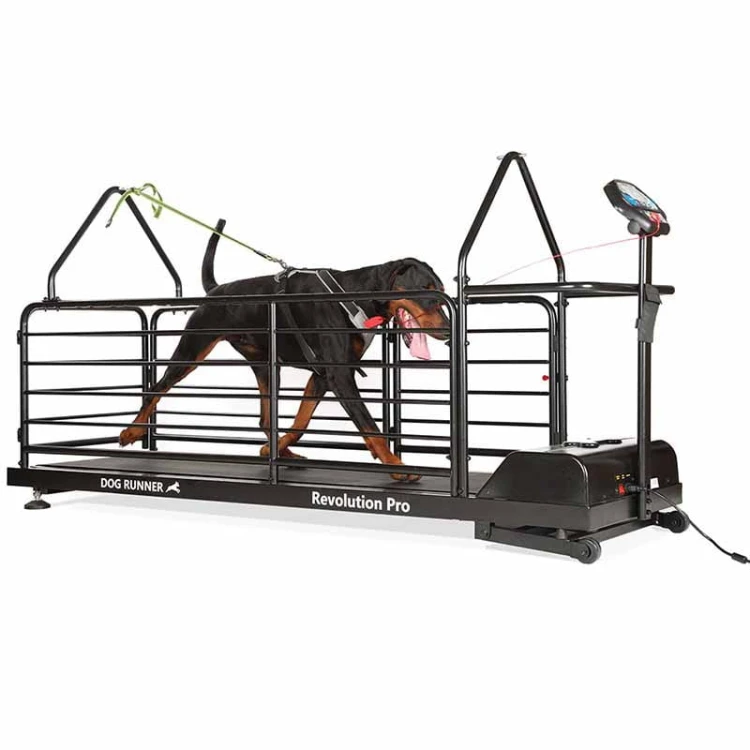 DR2 - Bieżnia Dog Runner Revolution Pro z boku