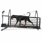 DR2 - Bieżnia Dog Runner Revolution Pro praca