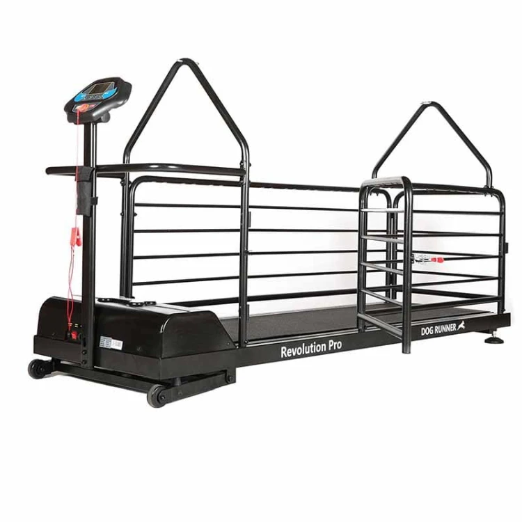 DR2 - Bieżnia Dog Runner Revolution Pro z boku bez podniesienia