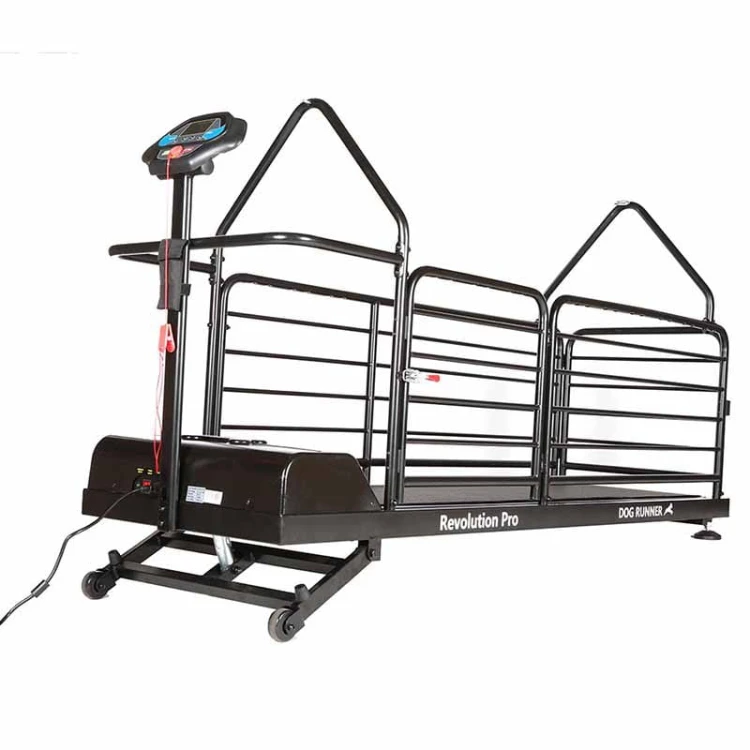 DR2 - Bieżnia Dog Runner Revolution Pro