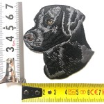 Sch113008 - Naszywka na ubrania Labrador głowa wymiary