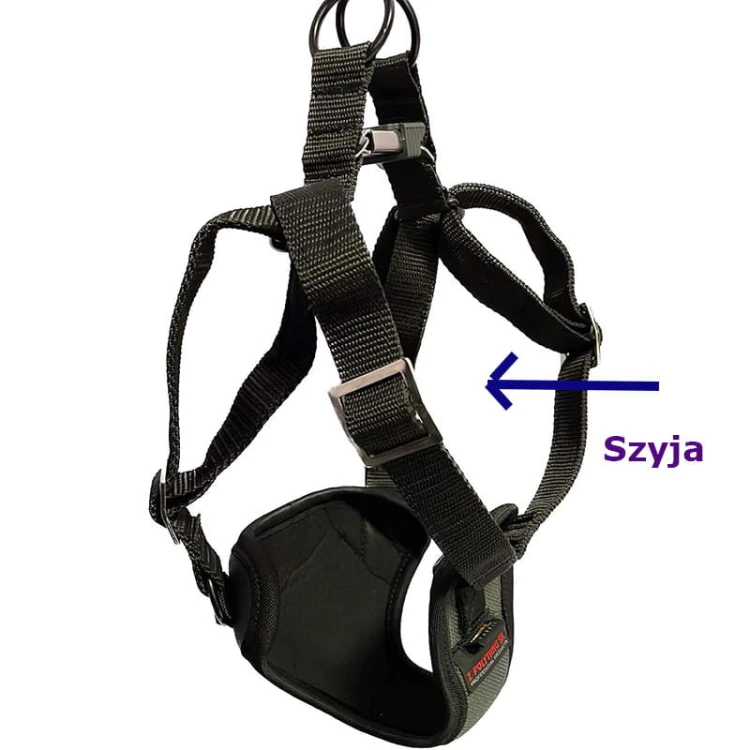 21900002 - Szelki ZP