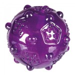 TX33678 - Piłka Trixie TPR 8cm fioletka