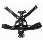 0530-A - Szelki skórzane do obrony z uchwytem pies góra