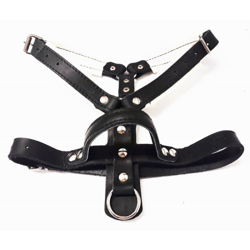 0530-A - Szelki skórzane do obrony z uchwytem pies góra