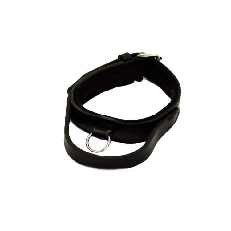 Sch645420 - Obroża z uchwytem szerokość 3cm rączki i zapięcie