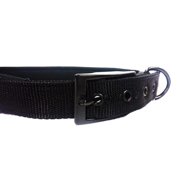 591910hs - Obroża nylonowa z obszyciem neopronowym HS mała zapięcie