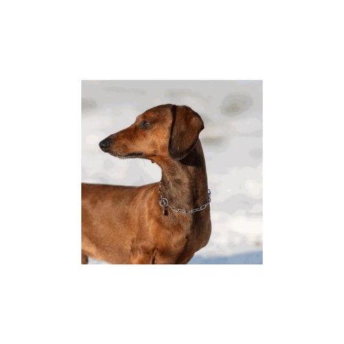 5144103055 - Łańcuszek długie ogniwo dla małych psów na jamniku