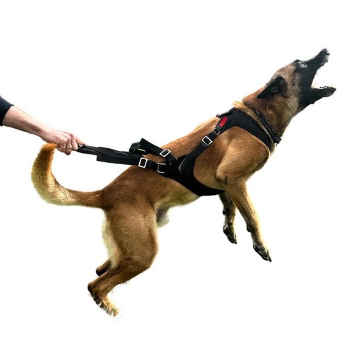 IQD-ZBA-SGC.S - IQ Performance Pro - Cobra