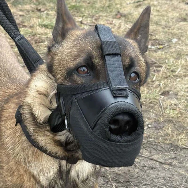 601410 - K9 kaganiec bojowy malinka