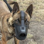 601410 - K9 kaganiec bojowy malinka1