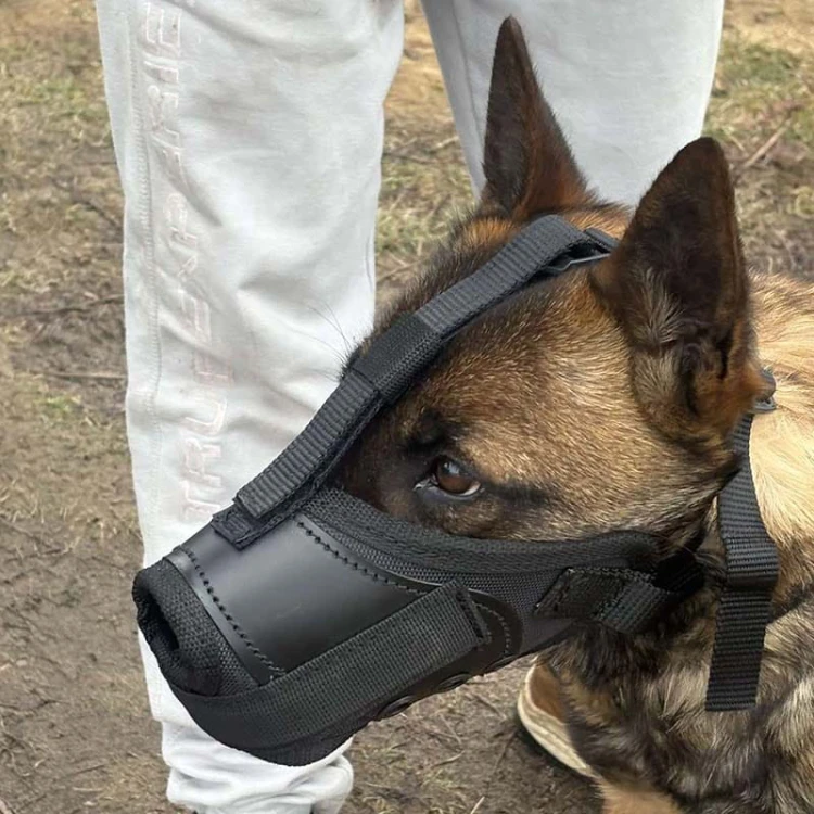 601410 - K9 kaganiec bojowy malinka3