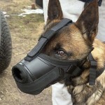 601410 - K9 kaganiec bojowy malinka6