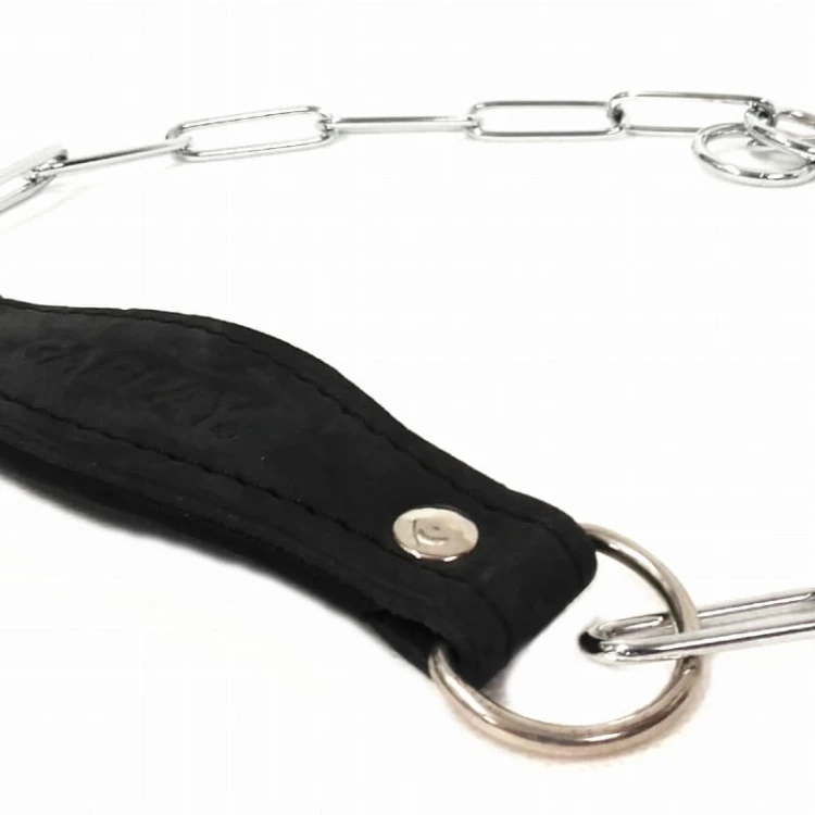 0852b - Obroża wystawowa