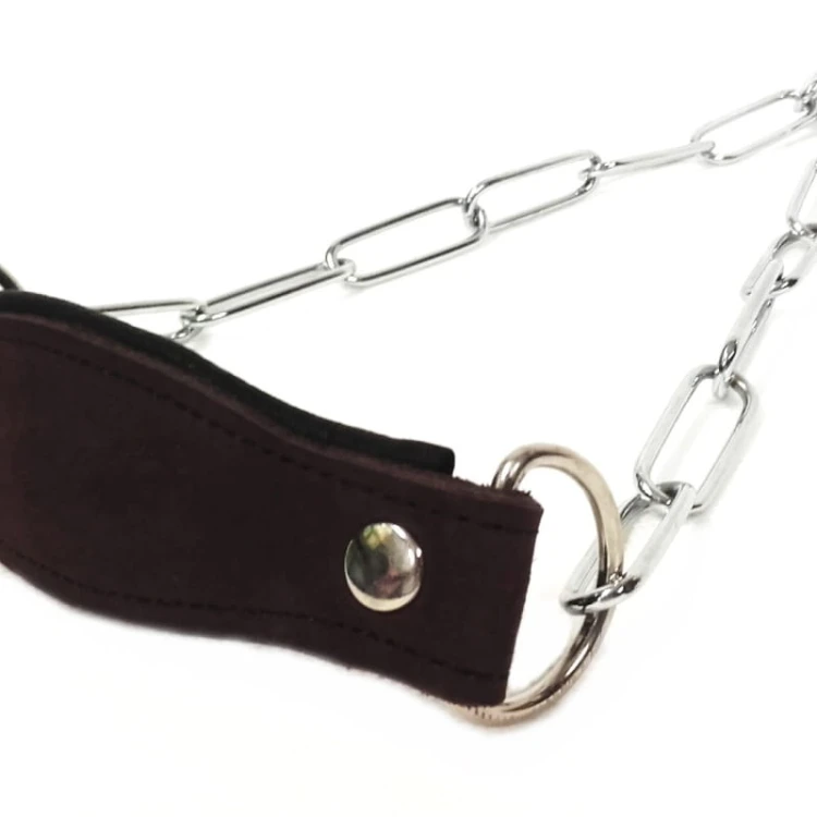 0852b - Obroża wystawowa widok2