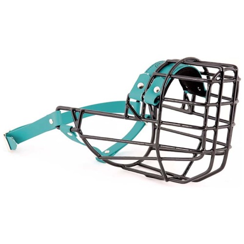 ch3539 - Rhodesian Ridgeback suka Biothane