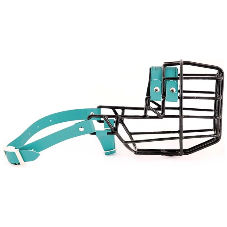 3527 - Bullterier suka Biothane bok