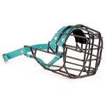 3527 - Bullterier suka Biothane