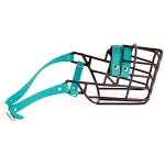 3525 - Dalmatyńczyk suka Biothane bok