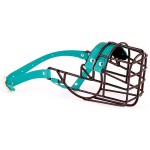 3525 - Dalmatyńczyk suka Biothane