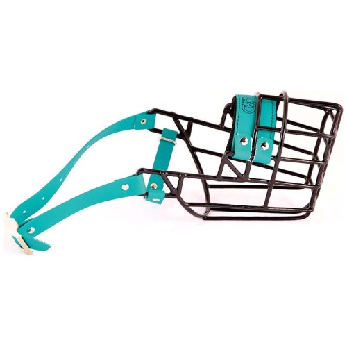 3525 - Dalmatyńczyk suka Biothane bok