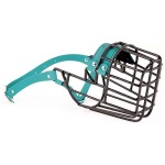 3531 - Doberman suka Biothane