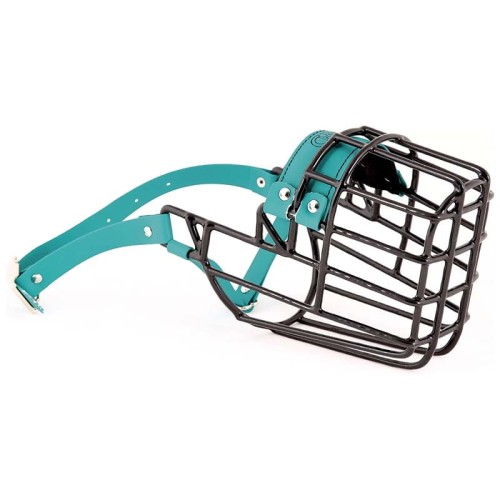 3531 - Doberman suka Biothane