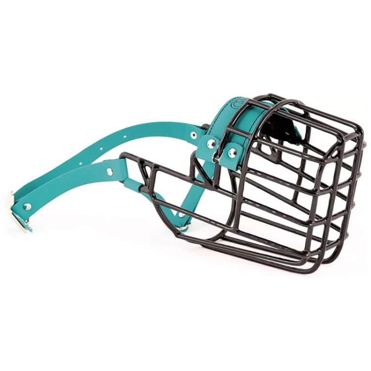 ch3532 - Doberman pies Biothane