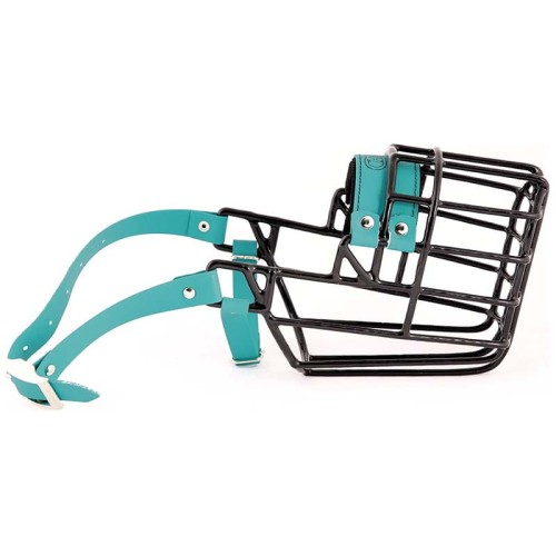 ch3532 - Doberman pies Biothane bok