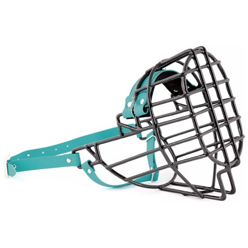 ch3563 - Sznaucer olbrzym suka Biothane