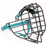 ch3564 - Sznaucer olbrzym pies Biothane