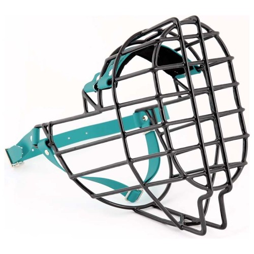 ch3564 - Sznaucer olbrzym pies Biothane