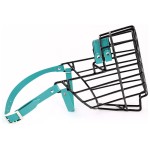 ch3564 - Sznaucer olbrzym pies Biothane bok