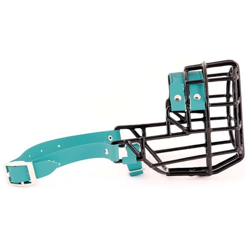 ch3523 - Sznaucer średni suka Biothane bok