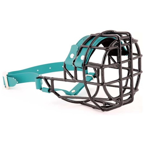 ch3523 - Sznaucer średni suka Biothane