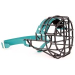 ch3524 - Sznaucer średni pies Biothane