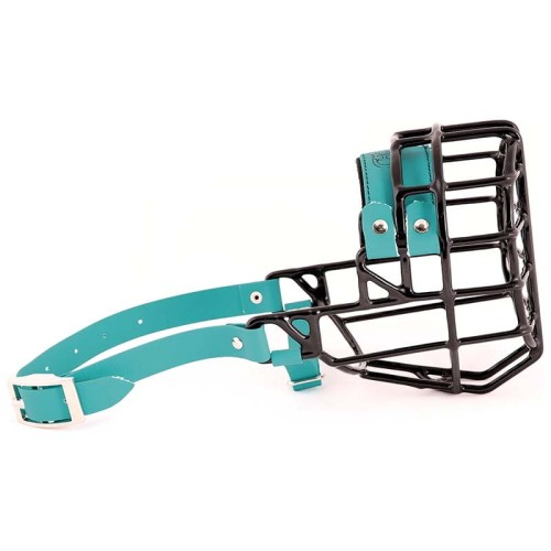 ch3524 - Sznaucer średni pies Biothane bok