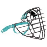 ch3566 - Rottweiler pies Biothane