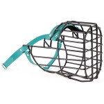 ch3560 - Sarplaninac Biothane