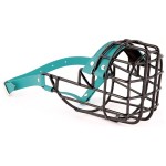 ch3537 - Pit Bull Terrier suka Biothane