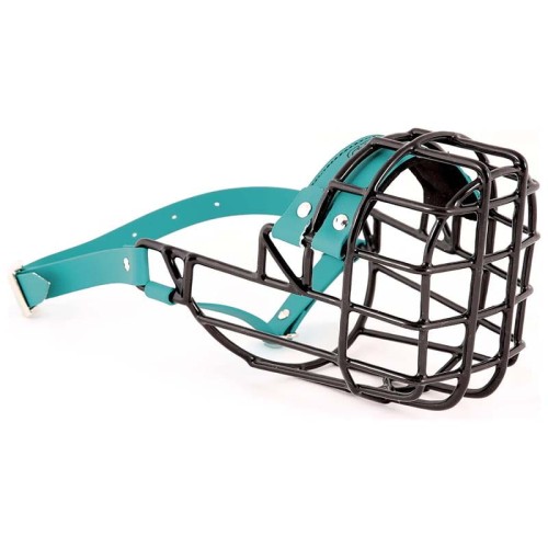 ch3537 - Pit Bull Terrier suka Biothane