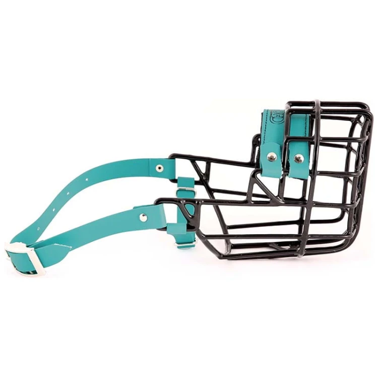 ch3537 - Pit Bull Terrier suka Biothane  bok