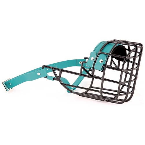 ch3538 - Pit Bull Terrier pies Biothane